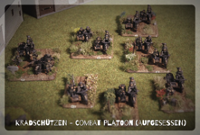 KS-CP01.jpg