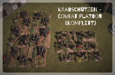 KS-CP04.jpg