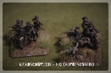 KS-HQ01.jpg