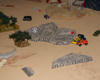 dsc04357jt.jpg